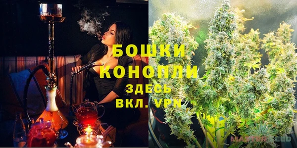 альфа пвп Гусиноозёрск