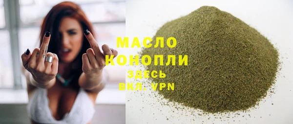 соль ск Дубна