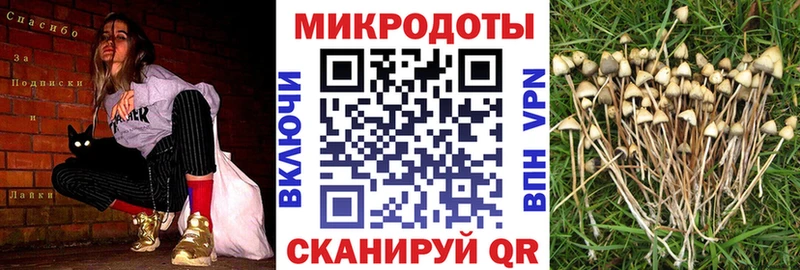 Псилоцибиновые грибы мухоморы  продажа наркотиков  Салаир 
